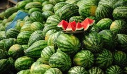 酒吧网红吃瓜视频下载大全,全网热门酒吧网红吃瓜视频大汇总